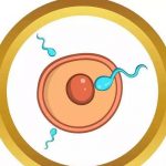 白色附件炎性包块可不可以做三代试管？