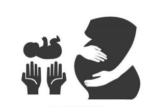 3个卵泡试管成功率 32岁试管取了3个卵泡