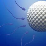 上海仁济医院做三代试管婴儿生龙凤胎最新版费用明细一览[上海试管婴儿]