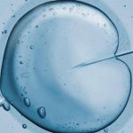 曲靖三代试管成功包男孩 曲靖三代试管成功包男孩