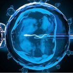 新乡三代试管比一代二代成功率高?河南三代试管最好的医院? 新乡三代试管比一代二代成功率高?河南三代试管最好的医院?