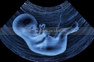 沈阳三代试管生一对龙凤胎价格多少，价格涨没涨