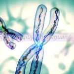 乌克兰三代试管助孕捐卵生孩子机构有哪些名单 乌克兰三代试管助孕捐卵生孩子机构有哪些名单