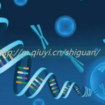 深圳三代试管助孕捐卵试管生孩子医院排名前十公布