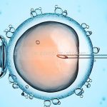 湖南省三代试管婴儿供卵生孩子公司排名最新汇总