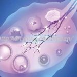 乐山三代试管助孕捐卵生孩子医院有哪些