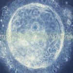 商丘三代试管助孕供卵生孩子公司介绍 商丘三代试管助孕供卵生孩子公司介绍