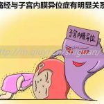 2023年在海口私立医院做供精试管费用大概是多少 2023年在海口私立医院做供精试管费用大概是多少