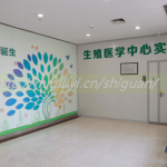 国内三代试管婴儿捐卵生孩子机构合法吗