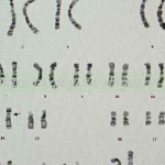 2023单身女性能通过三代试管婴儿借卵怀宝宝吗 2023单身女性能通过三代试管婴儿借卵怀宝宝吗