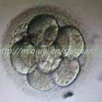 上饶三代试管婴儿借卵生子医院排行榜单揭晓