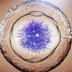 南宁三代试管助孕借卵生子医院哪家强