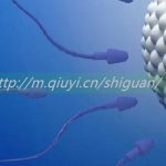 2023同性情侣可以通过三代试管供精生子吗