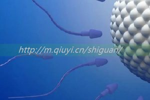 2023同性情侣可以通过三代试管供精生子吗