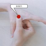 没有结婚证可以通过三代试管助孕借卵生宝宝吗