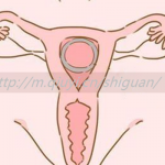 临沂三代试管私人生孩子公司排名公布