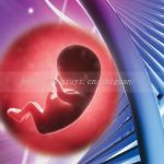 常德三代试管只能移植冻胚吗?常德三代试管只能移植冻胚吗医生 常德三代试管只能移植冻胚吗?常德三代试管只能移植冻胚吗医生