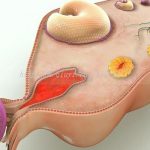 保定三代试管借卵生子公司排名第一是哪家 保定三代试管借卵生子公司排名第一是哪家