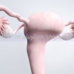 2023同性情侣可以通过三代试管助孕生孩子吗 2023同性情侣可以通过三代试管助孕生孩子吗