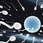 头条新闻! 山东捐卵试管婴儿、济南三代试管婴儿的基本费用是多少? 头条新闻! 山东捐卵试管婴儿、济南三代试管婴儿的基本费用是多少?