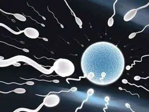 头条新闻！ 山东捐卵试管婴儿、济南三代试管婴儿的基本费用是多少？