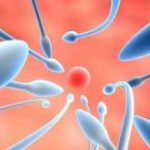 【今日快讯】乌鲁木齐超高龄失独妈妈自卵再生育 【今日快讯】乌鲁木齐超高龄失独妈妈自卵再生育