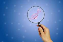 南阳三代试管流程详细 南阳试管婴儿哪里成功率高