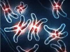 广州私人第三代试管医院〖孕育完美人生〗