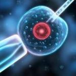 怀化第三代试管pgs筛查疾病列表 三代试管湖南