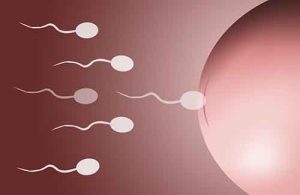 三代试管选性别准确率：男性备孕前检查