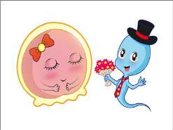 福建省妇幼保健院三代试管婴儿包生男孩费用多少？