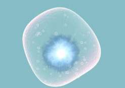 景德镇三代试管怎么选择性别