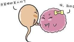 [该如何做]海口三代试管供卵孩子多少钱