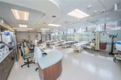 漳州供卵三代试管婴儿试管费用一览？