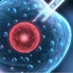 阳泉哪些情况必须做三代试管？什么情况做第三代试管婴儿