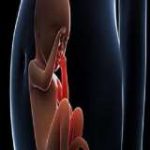 贵阳包生男孩什么意思_正规三代试管机构 贵阳包生男孩什么意思_正规三代试管机构