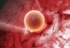 郑州三代试管婴儿包生男孩价格大约要多少？