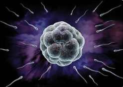 一二三代试管费用明细一览表[中国试管婴儿]_1