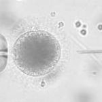 「分享给大家」天津三代试管婴儿成功率多少 「分享给大家」天津三代试管婴儿成功率多少