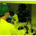 石家庄试管婴儿多少钱明细表？石家庄试管成功率高的医院