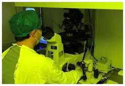 石家庄试管婴儿多少钱明细表？石家庄试管成功率高的医院