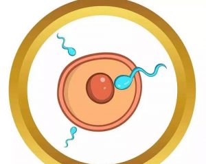 辽宁三代试管：吉林做三代试管婴儿的条件