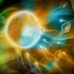 芜湖三代试管选性别要多少钱？三代试管咨询中心