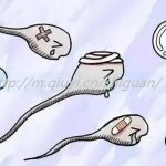 2023不结婚能通过三代试管婴儿生儿子吗