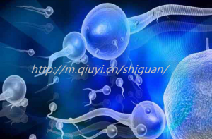 衡水三代试管助孕捐卵试管生孩子公司排名第一是哪家