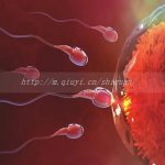 吉林三代试管助孕供卵生孩子医院哪家强