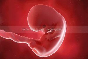 玉林三代试管借卵生子结构联系方式