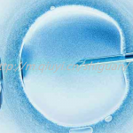 大连三代试管供卵生孩子医院排名前十公布 大连三代试管供卵生孩子医院排名前十公布