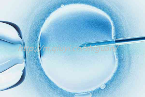 大连三代试管供卵生孩子医院排名前十公布