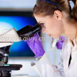 保定三代试管婴儿借卵生子公司排行榜单揭晓